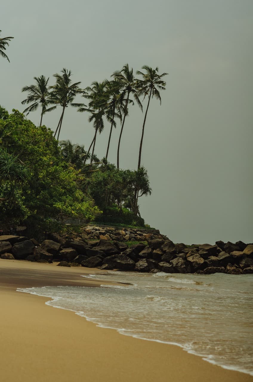 Превью Sri Lanka 2022